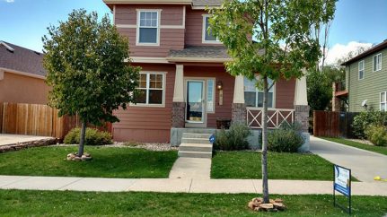 exteriors-landscaping-woodland-park-teller-county-primeco-exteriors